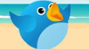 Tweet Birds